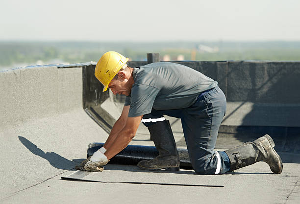 Best Insulation Maintenance and Repair in Canton, TX